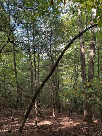 Tract 2 Kyle-arp Blue Ridge GA 30513