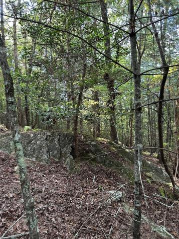 Tract 2 Kyle-arp Blue Ridge GA 30513