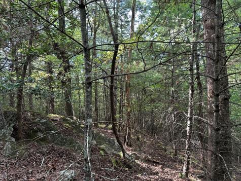 Tract 2 Kyle-arp Blue Ridge GA 30513