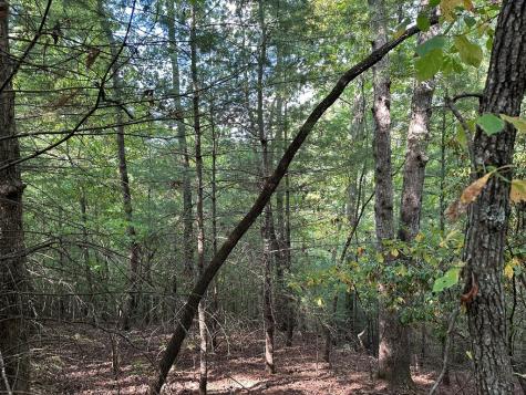 Tract 2 Kyle-arp Blue Ridge GA 30513