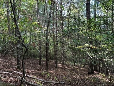 Tract 2 Kyle-arp Blue Ridge GA 30513