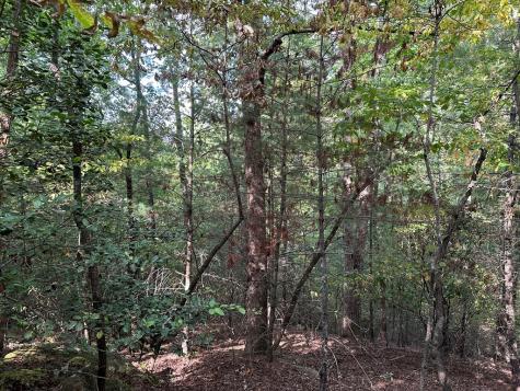 Tract 2 Kyle-arp Blue Ridge GA 30513