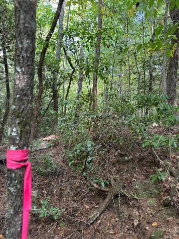 Tract 2 Kyle-arp Blue Ridge GA 30513