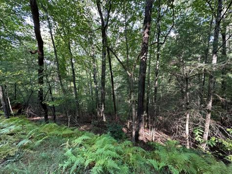 Tract 2 Kyle-arp Blue Ridge GA 30513