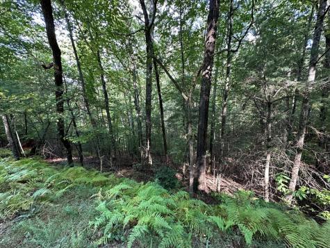 Tract 2 Kyle-arp Blue Ridge GA 30513