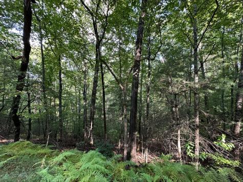 Tract 2 Kyle-arp Blue Ridge GA 30513