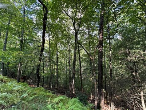 Tract 2 Kyle-arp Blue Ridge GA 30513