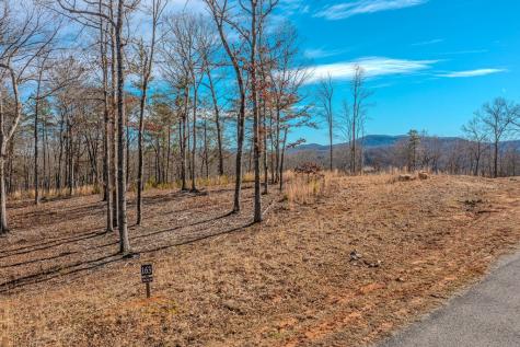Lot 163 Ridge Drive Blue Ridge GA 30513