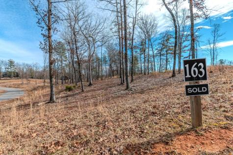 Lot 163 Ridge Drive Blue Ridge GA 30513