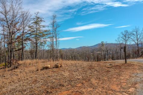 Lot 163 Ridge Drive Blue Ridge GA 30513