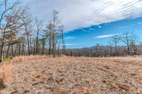 Lot 163 Ridge Drive Blue Ridge GA 30513