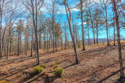 Lot 163 Ridge Drive Blue Ridge GA 30513