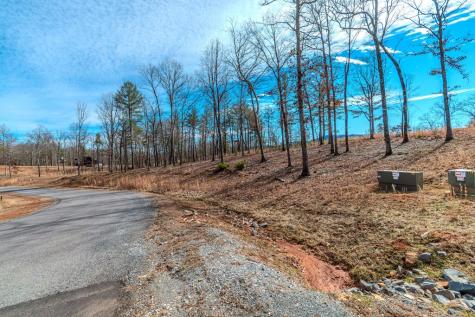 Lot 163 Ridge Drive Blue Ridge GA 30513