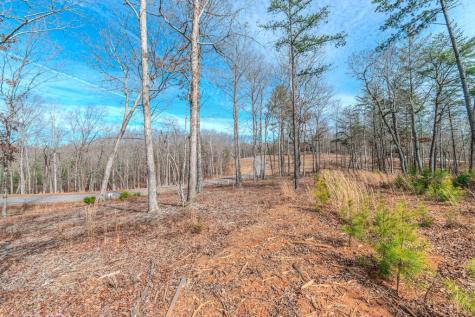 Lot 163 Ridge Drive Blue Ridge GA 30513