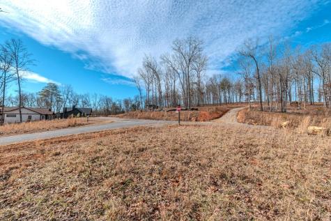 Lot 163 Ridge Drive Blue Ridge GA 30513