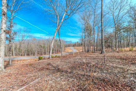 Lot 163 Ridge Drive Blue Ridge GA 30513