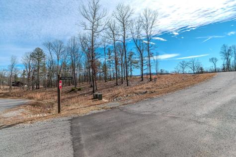 Lot 163 Ridge Drive Blue Ridge GA 30513
