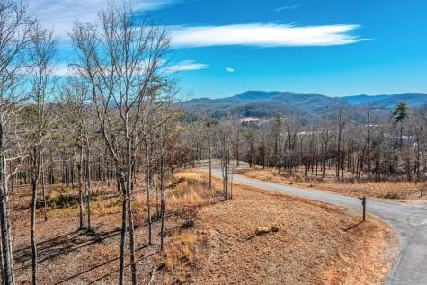 Lot 163 Ridge Drive Blue Ridge GA 30513