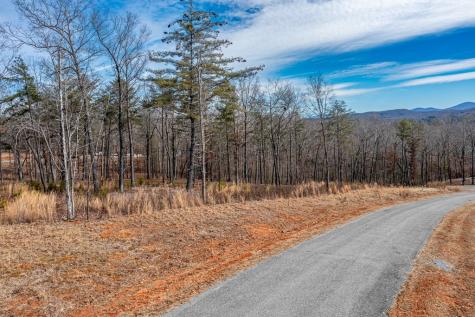 Lot 163 Ridge Drive Blue Ridge GA 30513