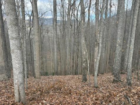 Tract 3 Doc Thomas Ridge Road Blairsville GA 30512