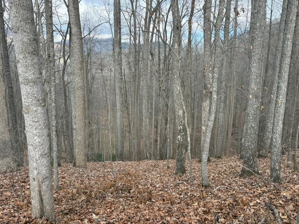Tract 3 Doc Thomas Ridge Road Blairsville GA 30512