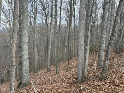 Tract 3 Doc Thomas Ridge Road Blairsville GA 30512