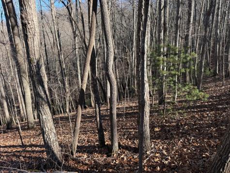 Tract 3 Doc Thomas Ridge Road Blairsville GA 30512