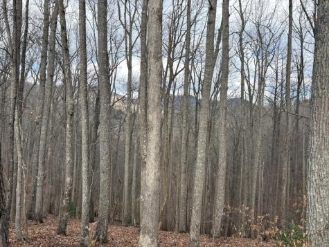 Tract 3 Doc Thomas Ridge Road Blairsville GA 30512