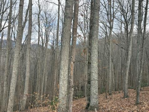 Tract 3 Doc Thomas Ridge Road Blairsville GA 30512