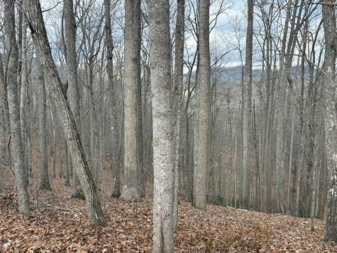 Tract 3 Doc Thomas Ridge Road Blairsville GA 30512