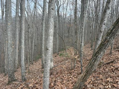 Tract 3 Doc Thomas Ridge Road Blairsville GA 30512