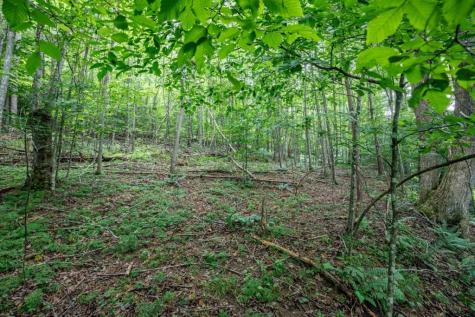 Lot 56 Bryant Cove S/d Blairsville GA 30512