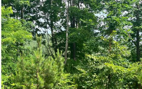 60 Thirteen Hundred Blairsville GA 30512