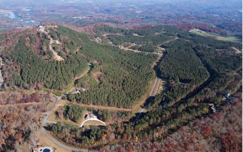 60 Thirteen Hundred Blairsville GA 30512