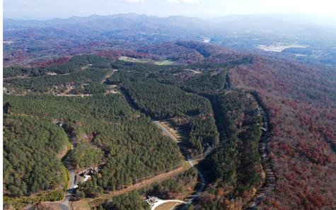 60 Thirteen Hundred Blairsville GA 30512