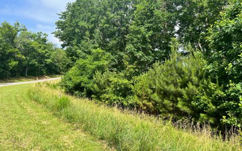 60 Thirteen Hundred Blairsville GA 30512