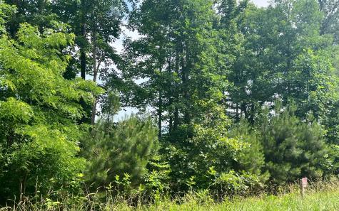 60 Thirteen Hundred Blairsville GA 30512