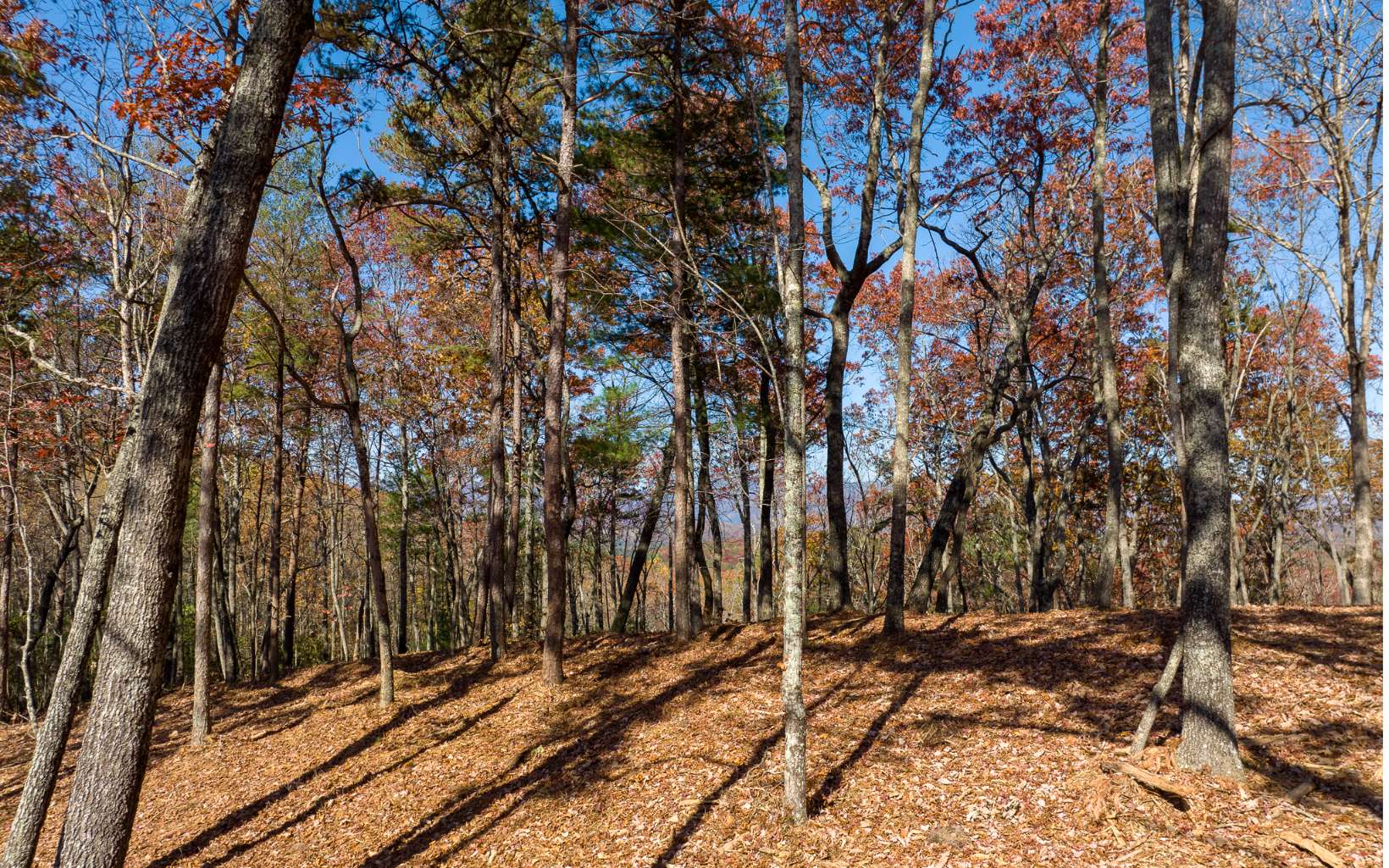 Lot 41 Preserve Trail Ellijay GA 30536