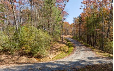 Lot 41 Preserve Trail Ellijay GA 30536