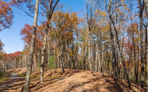 Lot 41 Preserve Trail Ellijay GA 30536