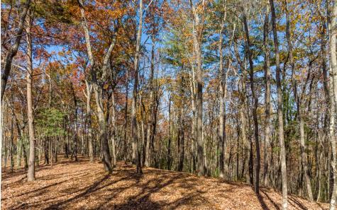 Lot 41 Preserve Trail Ellijay GA 30536