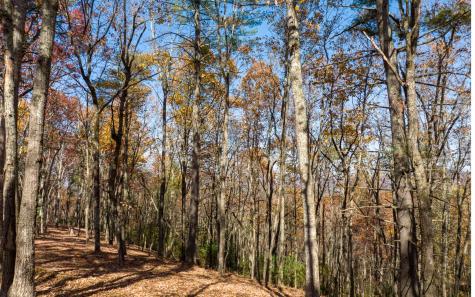 Lot 41 Preserve Trail Ellijay GA 30536