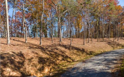 Lot 41 Preserve Trail Ellijay GA 30536