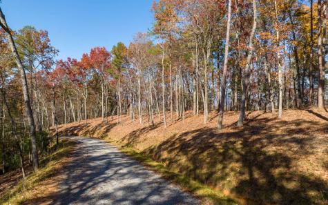 Lot 41 Preserve Trail Ellijay GA 30536