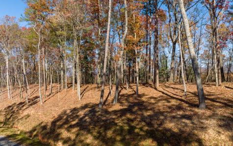 Lot 41 Preserve Trail Ellijay GA 30536