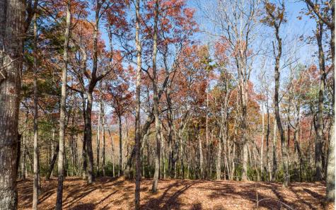 Lot 41 Preserve Trail Ellijay GA 30536
