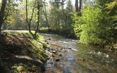 Lot 41 Preserve Trail Ellijay GA 30536