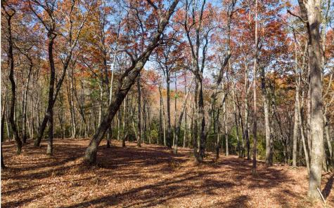 Lot 41 Preserve Trail Ellijay GA 30536