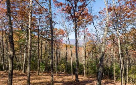 Lot 41 Preserve Trail Ellijay GA 30536