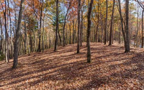 Lot 41 Preserve Trail Ellijay GA 30536